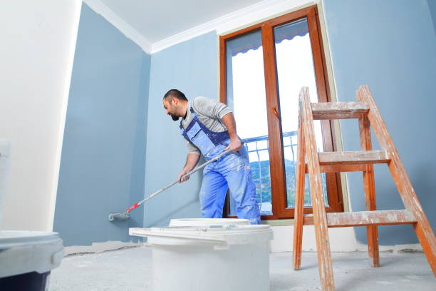 Best Mold Damage Restoration  in River Heights, UT