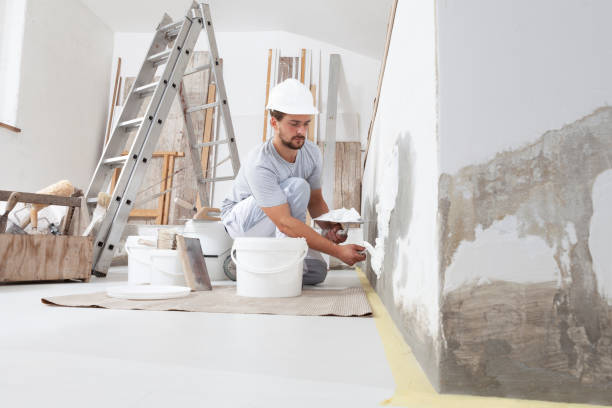 Best Mold-Related Health Consultation  in River Heights, UT