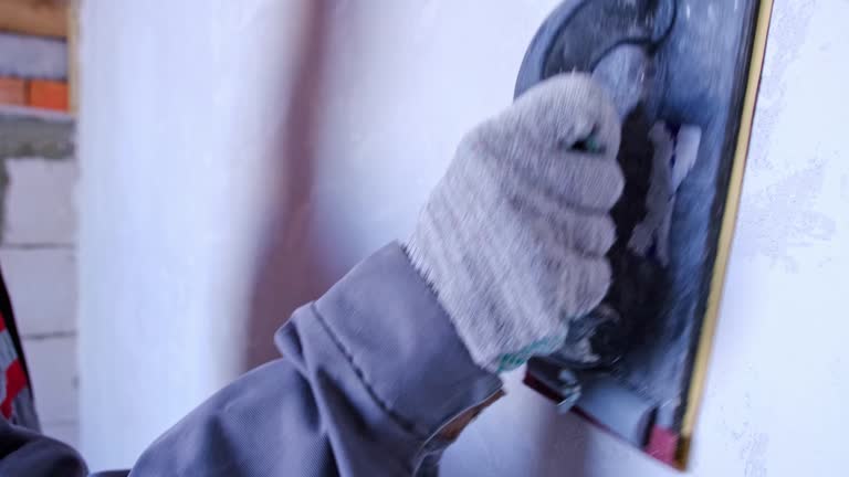 Best Black Mold Removal  in River Heights, UT