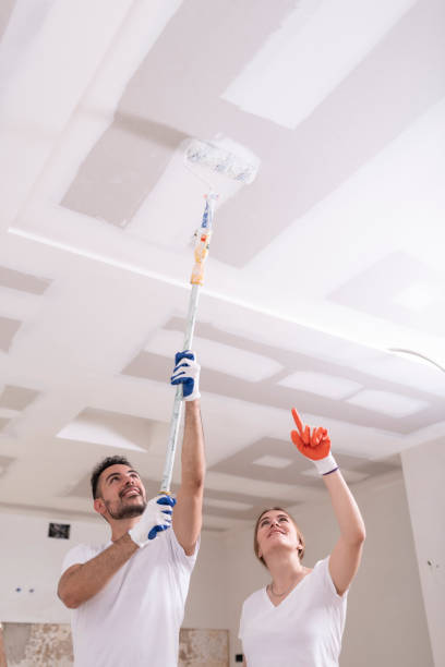 River Heights, UT Mold Removal Company