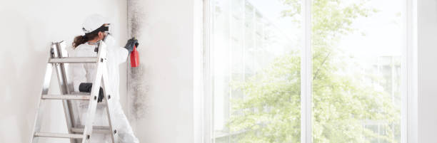 Best Residential Mold Inspection & Testing  in River Heights, UT