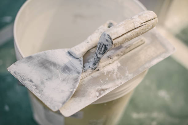 Best Basement Mold Removal  in River Heights, UT