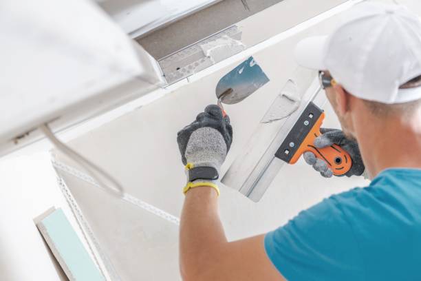 Best Mold Damage Restoration  in River Heights, UT